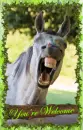 Horse Sense ~ You're Welcome