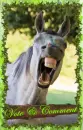 Horse Sense ~ Vote & Comment