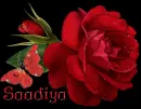 saadiya