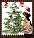 Bird Dog Christmas ~ Tammy