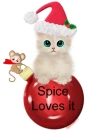 Christmas Cat - Spice loves it