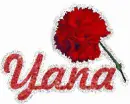 Yana With Red Flower