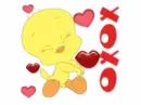 piolin