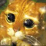cat shrek