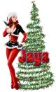 Jaya