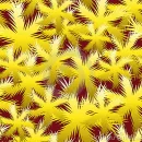 CHRISTMAS BACKGROUND