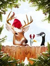 CHRISTMAS