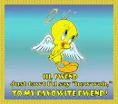 Tweety Hello