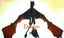 dragons