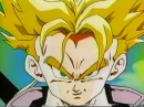 trunks