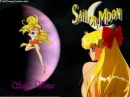 Sailor Venus
