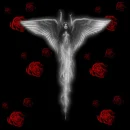 rose angel