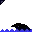 dolphin jumpping