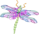 Dragonfly ~ Tara