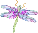 DragonFly ~ Roni