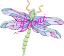 DragonFly ~ Pami
