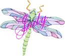 DragonFly ~ Judy