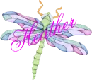 DragonFly ~ Heather