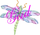 DragonFly ~ Geid