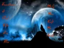 Wolf Alone