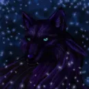 Black Wolf