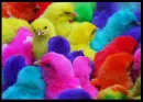 âœ¿RaiNBoWâœ¿CHiCkSâœ¿