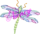 Dragonfly ~ Nancy