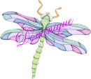 Dragonfly ~ Dominique