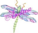 Dragonfly ~ Andrea