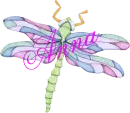Dragonfly ~ Anna