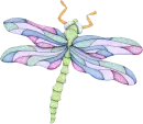 Dragonfly 