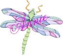 Dragonfly ~ Annie