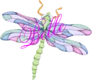 Dragonfly ~ Belle