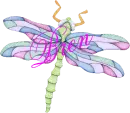 Dragonfly ~ Bren