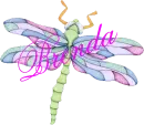 Dragonfly ~ Brenda