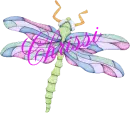Dragonfly ~ Chrissi