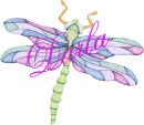 Dragonfly ~ Darla