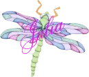 Dragonfly ~ Julia