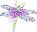 Dragonfly ~  Julie