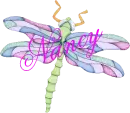 Dragonfly ~ Nancy