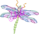 Dragonfly ~ Niki