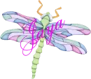 Dragonfly ~ Jaya