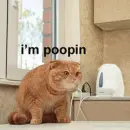 ,,