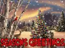 Seasons Greetings