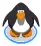 Spinny Penguin 