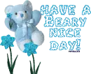 Have a beary nice day!
