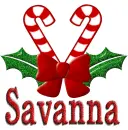 savanna