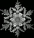 Snowflake