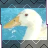 duckie