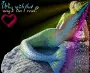 Mermaid Magic.